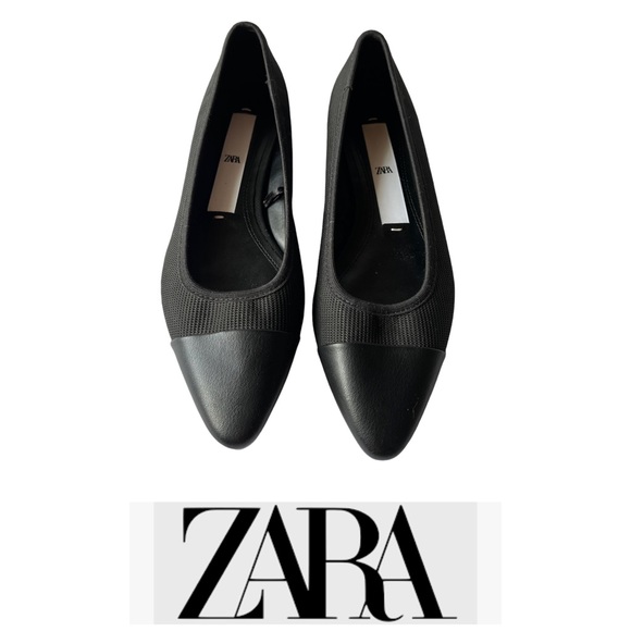 Zara Shoes Zara Mesh Ballet Flats With Pointed Toe Size 37 Poshmark